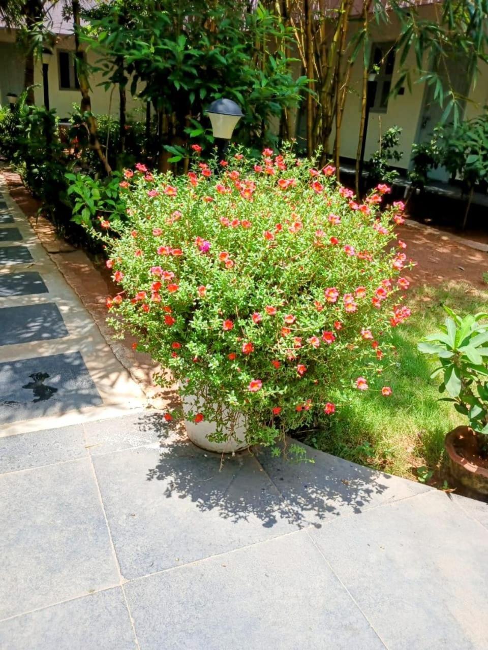 The Well Beach Side Guest House Auroville Exterior photo