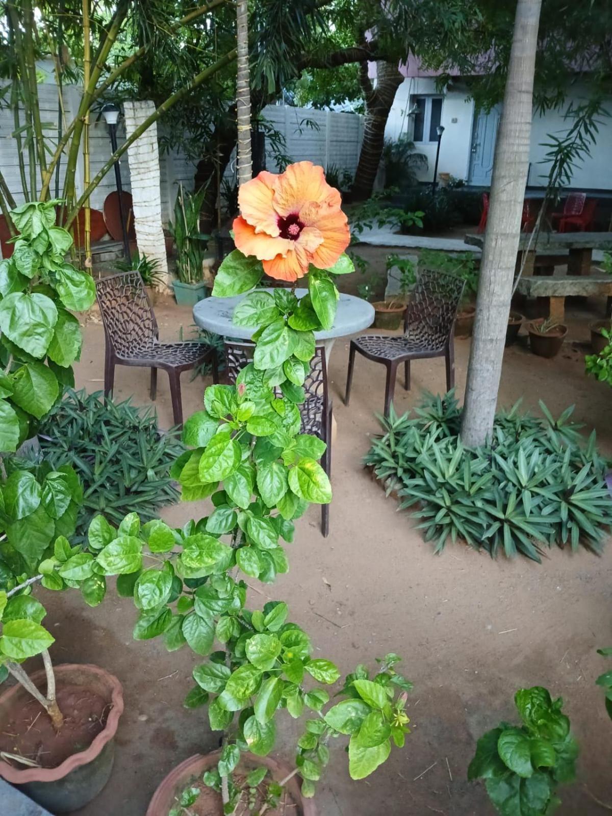 The Well Beach Side Guest House Auroville Exterior photo